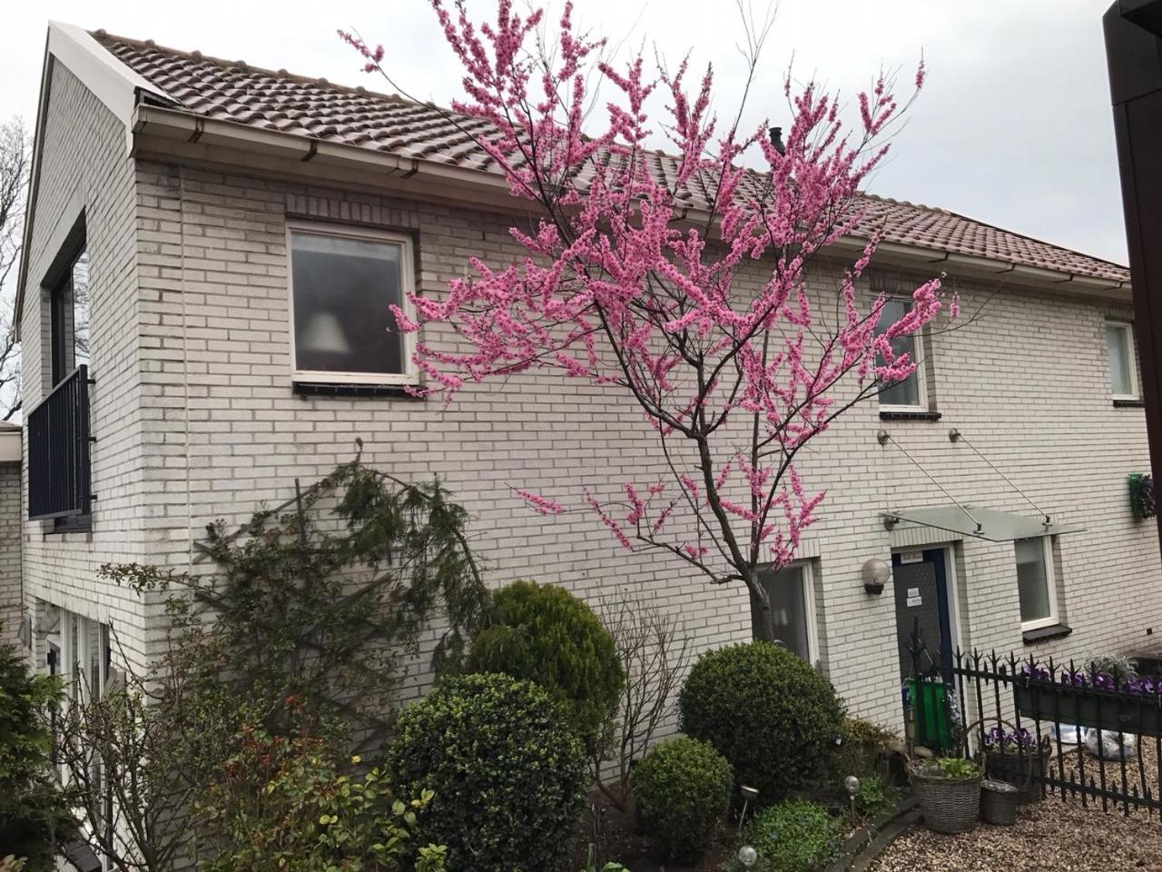 Villa 'T Haasduin Wijk aan Zee Ngoại thất bức ảnh