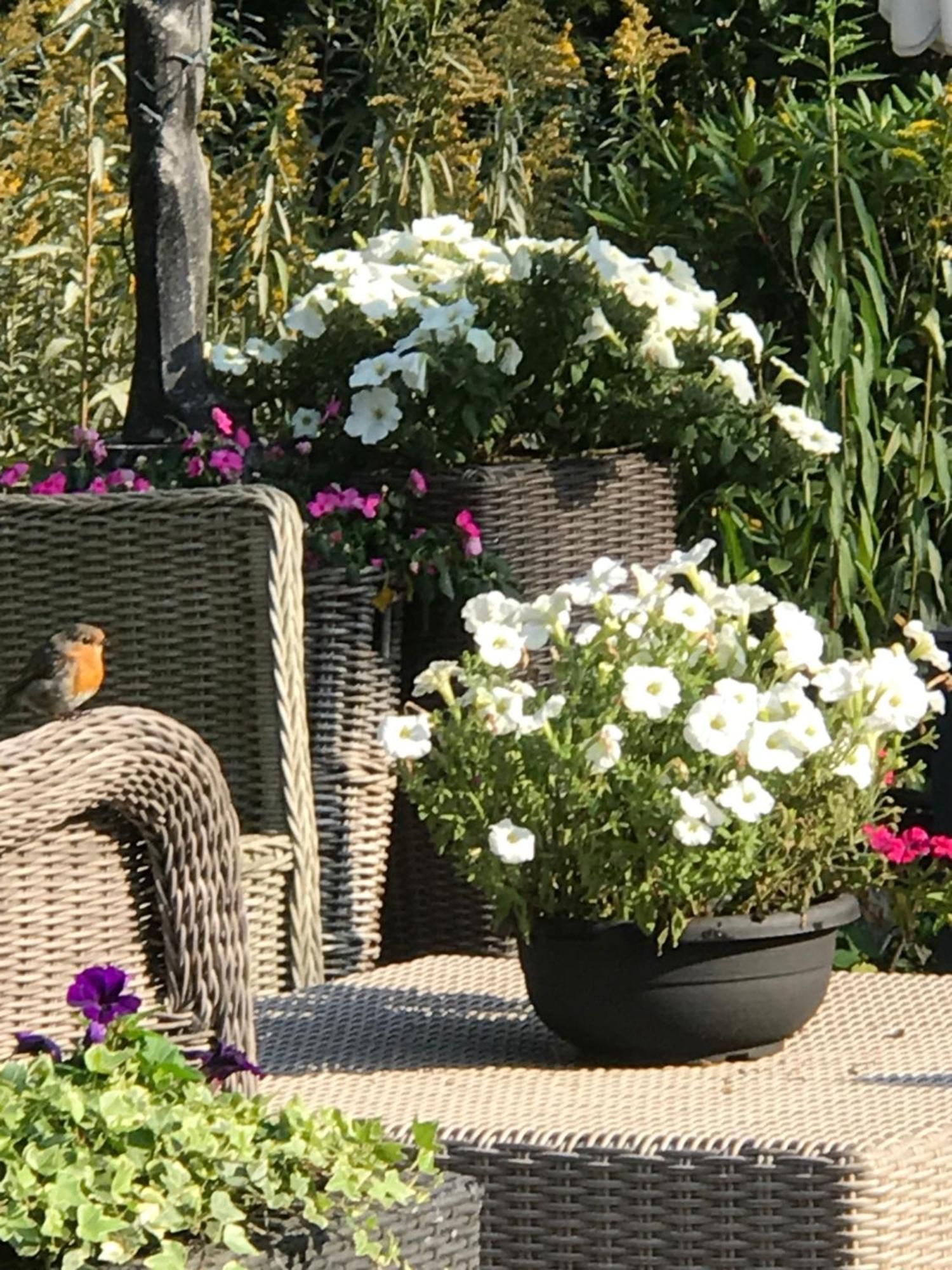 Villa 'T Haasduin Wijk aan Zee Ngoại thất bức ảnh
