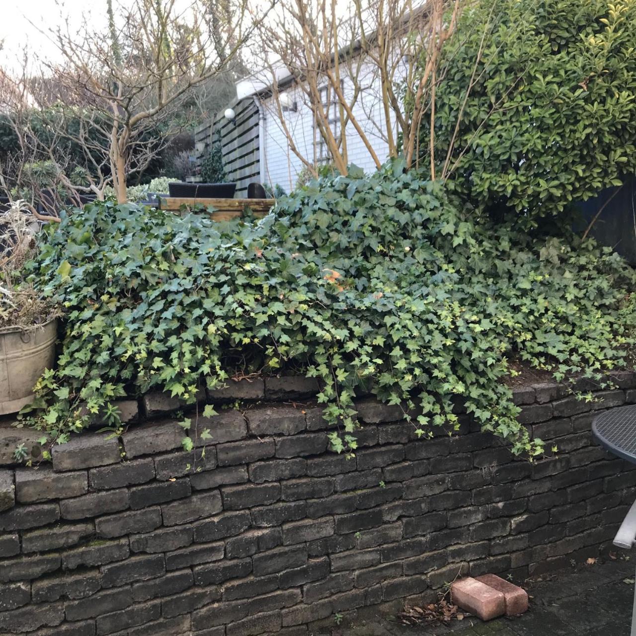 Villa 'T Haasduin Wijk aan Zee Ngoại thất bức ảnh